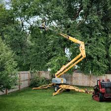 Best Seasonal Cleanup (Spring/Fall)  in Pion Hills, CA