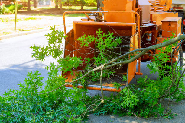 Best Grass Overseeding  in Pion Hills, CA