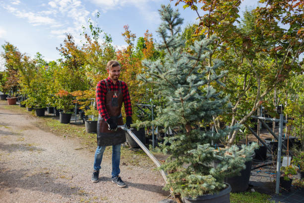 Best Commercial Tree Services  in Pion Hills, CA