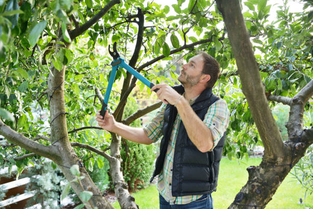 Best Lawn Pest Prevention  in Pion Hills, CA